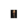 Firelight Collants 20 DEN - Noir et rouge
